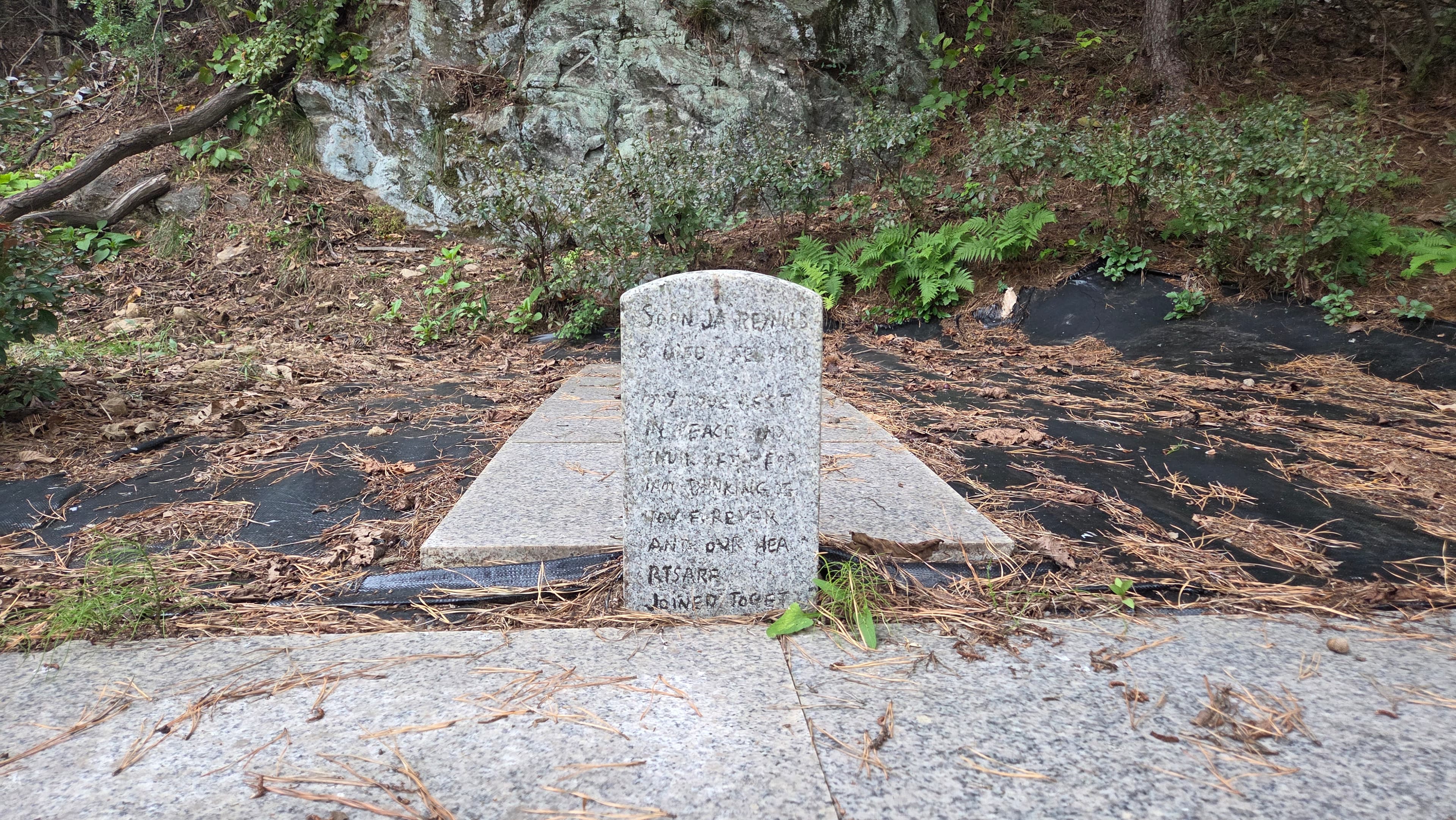 박순자 - 레이놀드 묘지